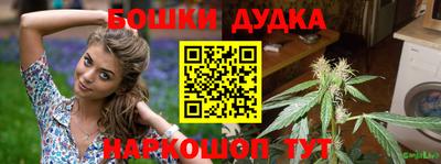 стаф Дубна